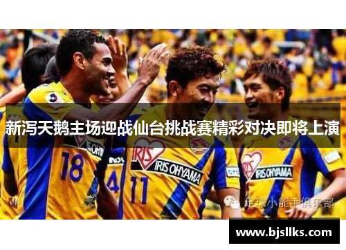新泻天鹅主场迎战仙台挑战赛精彩对决即将上演